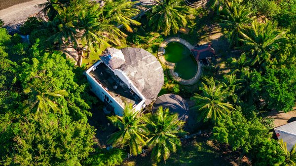 Où découvrir les traditions de la récolte du thé à Darjeeling, Inde: visites et meilleures périodes?